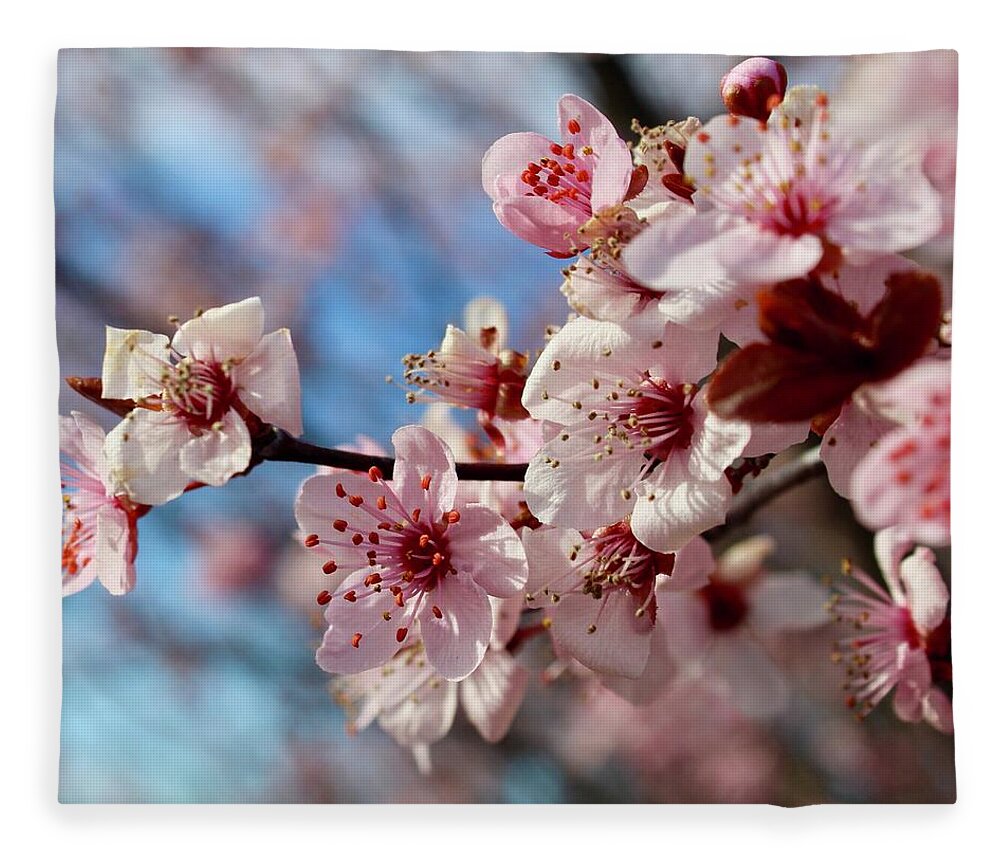 Photography Fleece Blanket featuring the photograph Smiling Flowering Plum Tree Blooms by M E