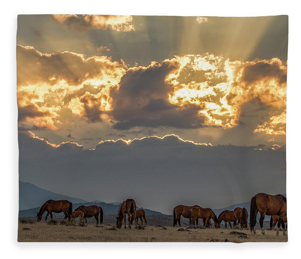  Fleece Blanket featuring the photograph Smokey sunrise by John T Humphrey