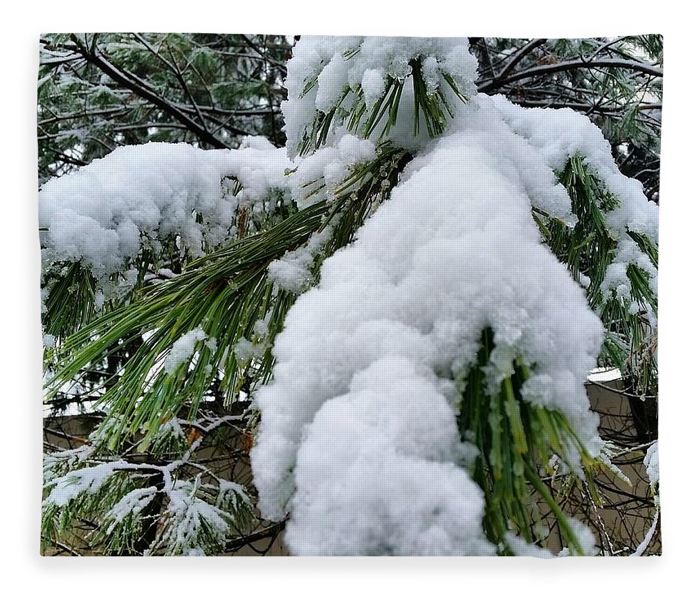 Snow Fleece Blanket featuring the photograph Snow on Evergreen Branch by Vic Ritchey