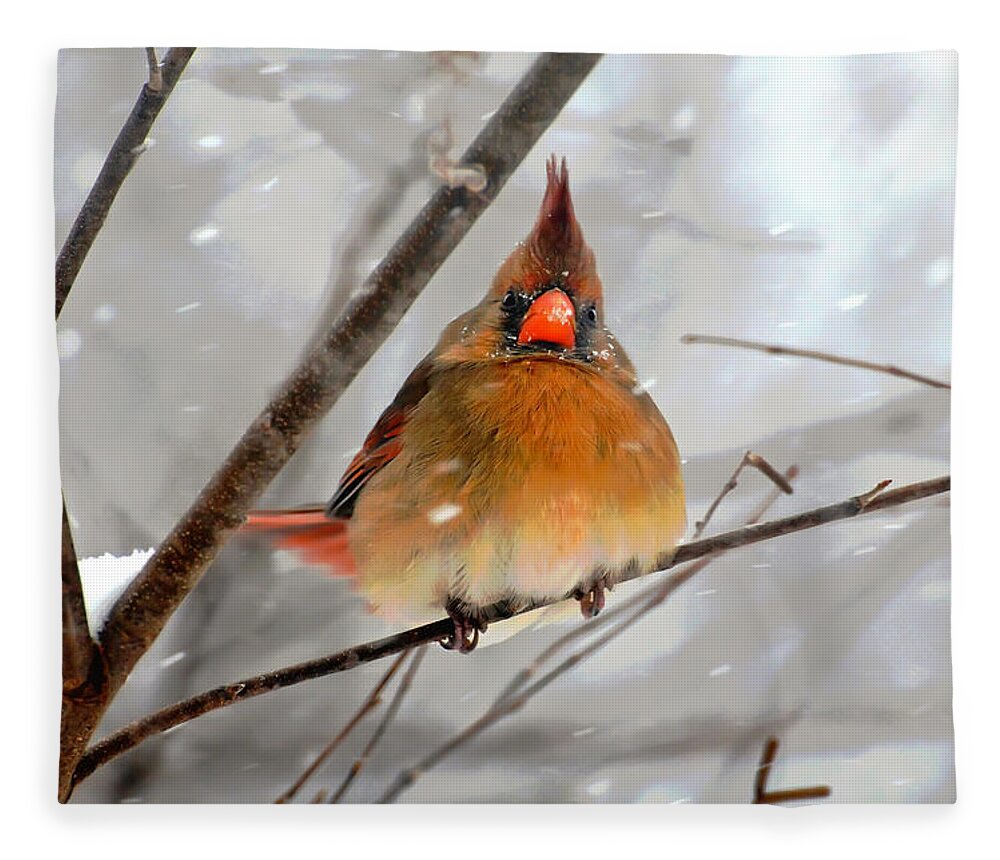 Bird Fleece Blanket featuring the photograph Snow Surprise by Lois Bryan