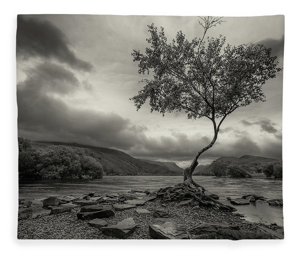 Snowdonia Fleece Blanket featuring the photograph Snowdonia Wales The Lonely Tree by John Williams