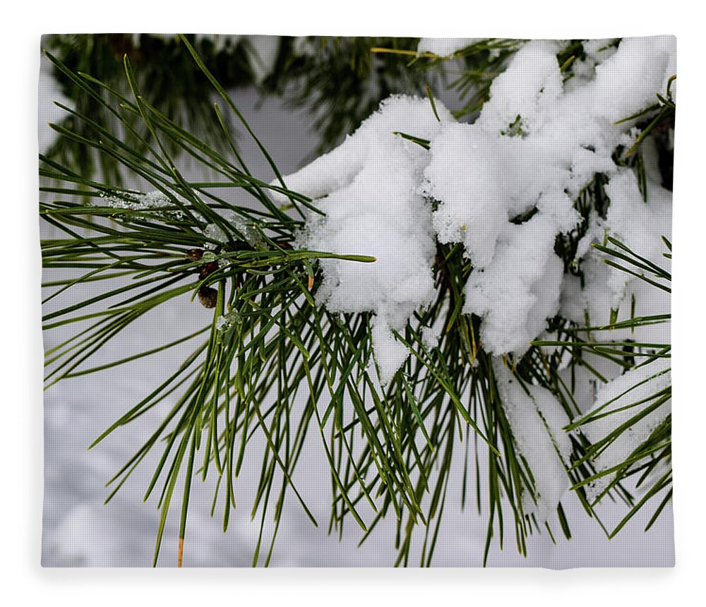 Snow Fleece Blanket featuring the photograph Snowy Branch by Nicole Lloyd
