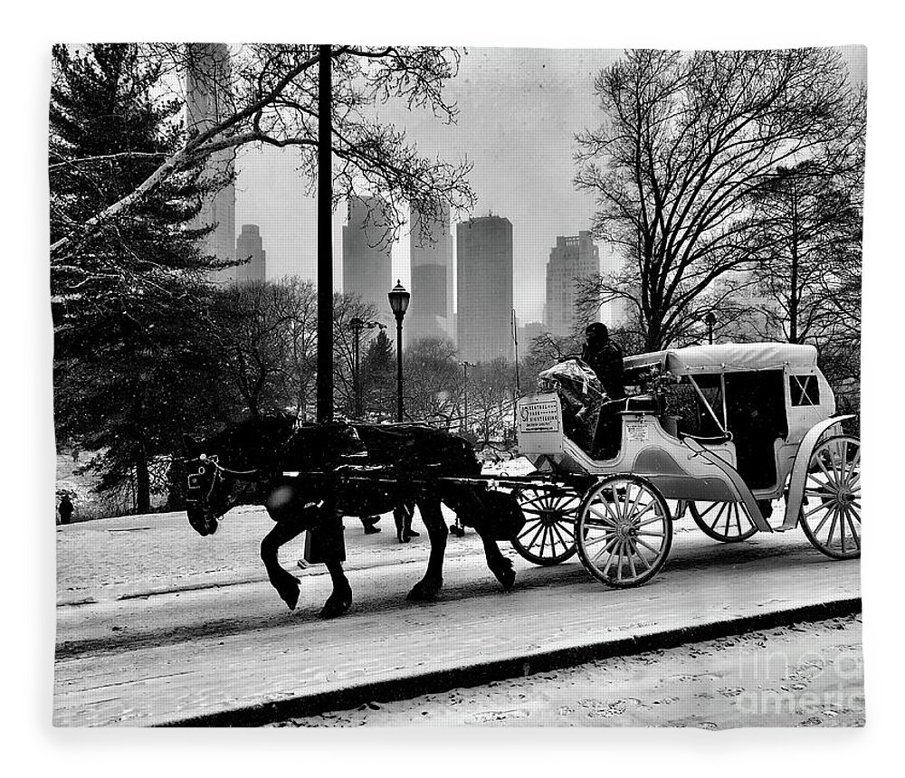 Horse And Buggy Fleece Blanket featuring the photograph Snowy Ride by Dennis Richardson