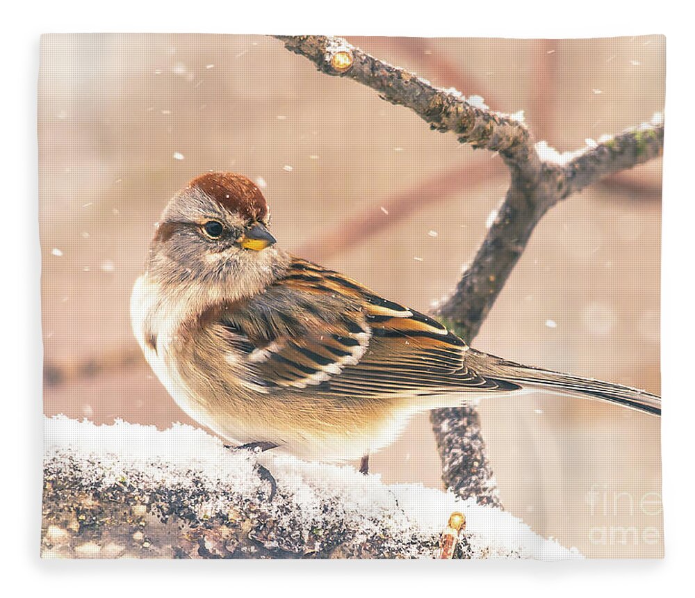 Cheryl Baxter Photography Fleece Blanket featuring the photograph Snowy Tree Sparrow by Cheryl Baxter