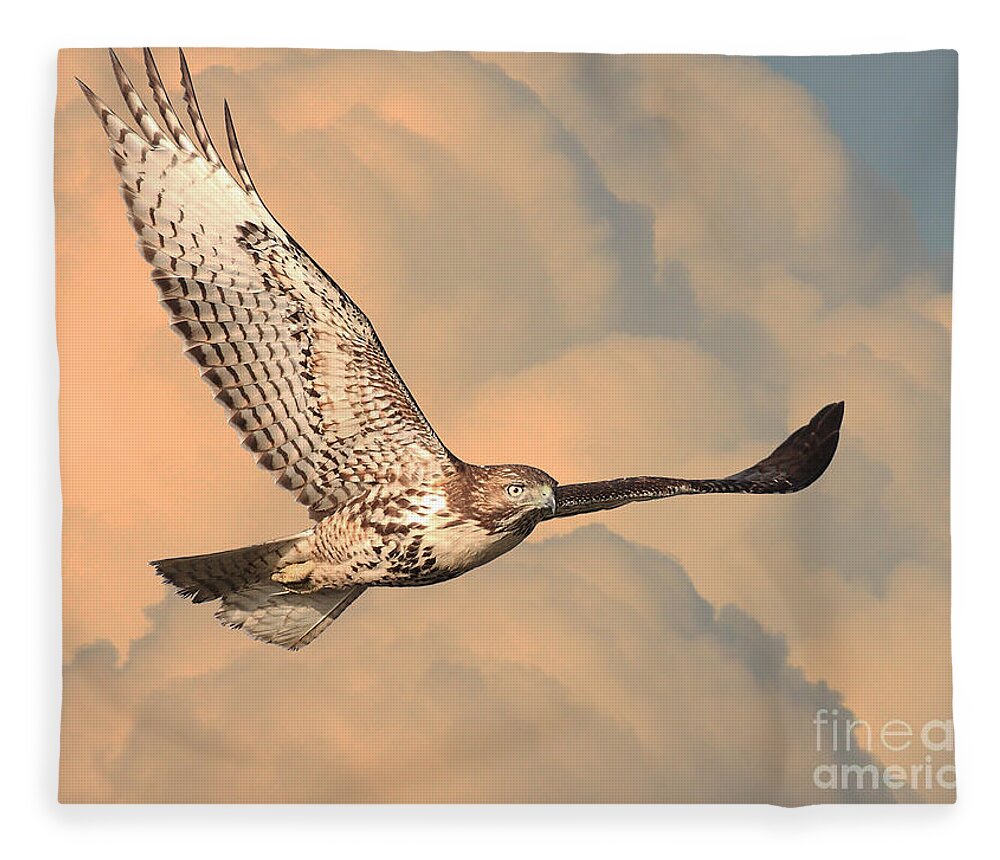 Wingsdomain Fleece Blanket featuring the photograph Soaring Hawk by Wingsdomain Art and Photography