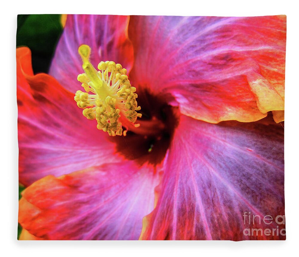 Hibiscus Fleece Blanket featuring the photograph SoCal Hibiscus by Becqi Sherman