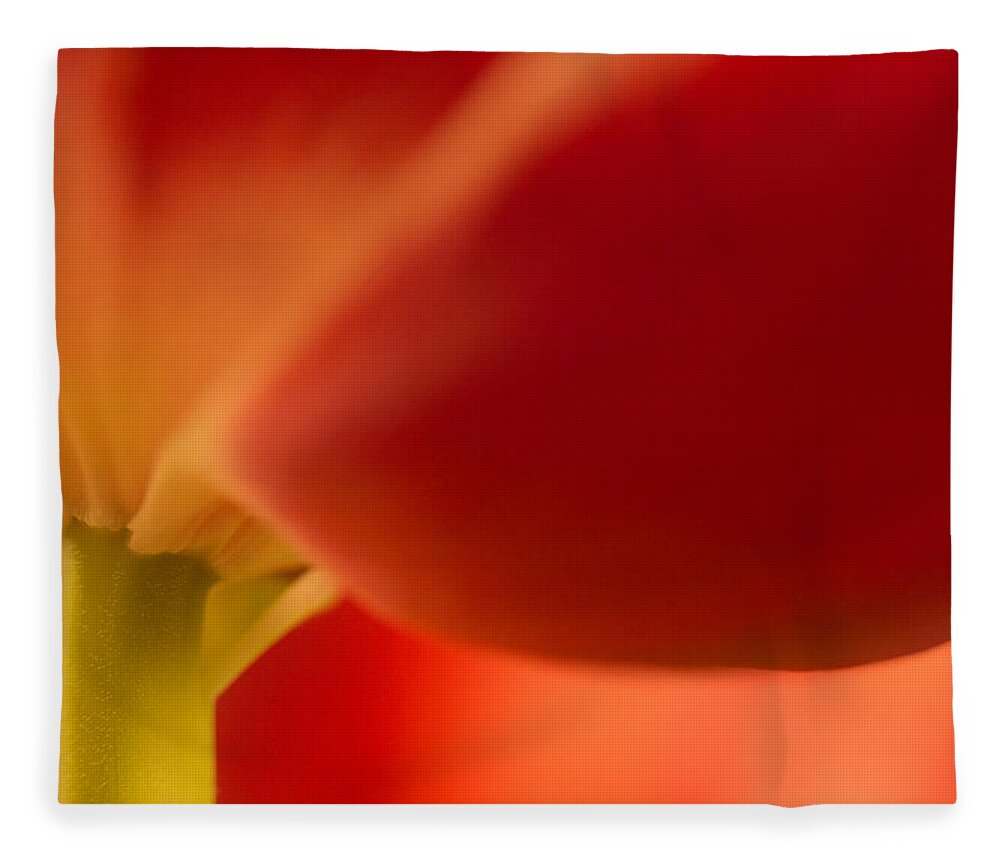 Tulip Fleece Blanket featuring the photograph Soft tulip by Bob Cournoyer