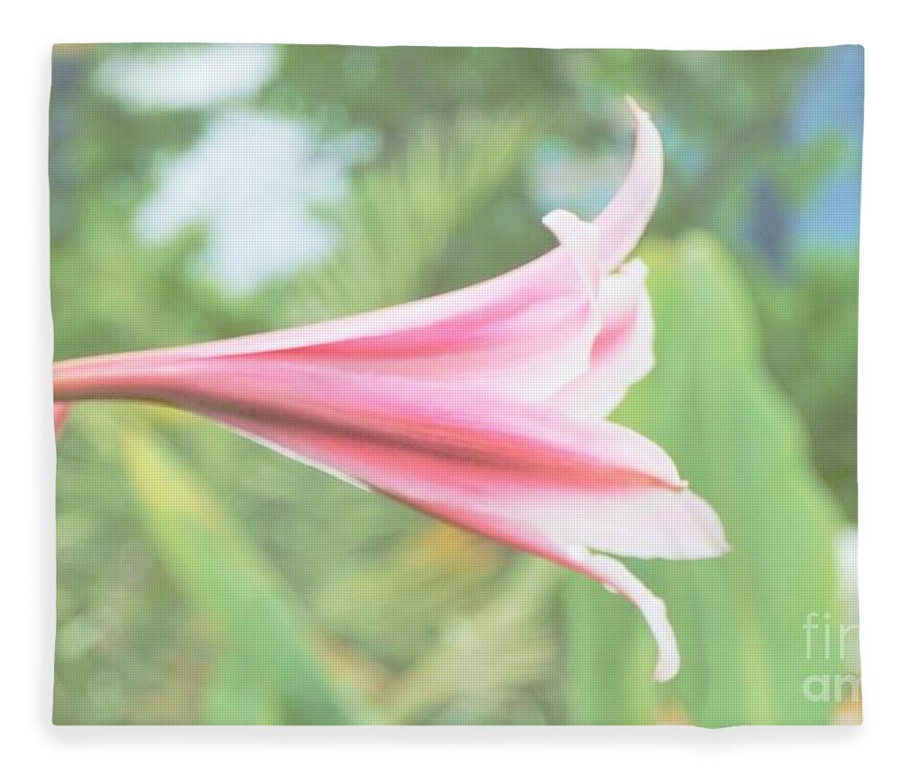 Flowers Fleece Blanket featuring the photograph Softly colored by Merle Grenz