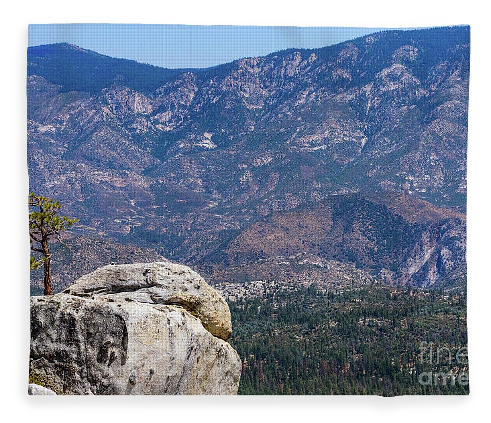 August 2017 Fleece Blanket featuring the photograph Solitary Pine on Promontory by Jeff Hubbard