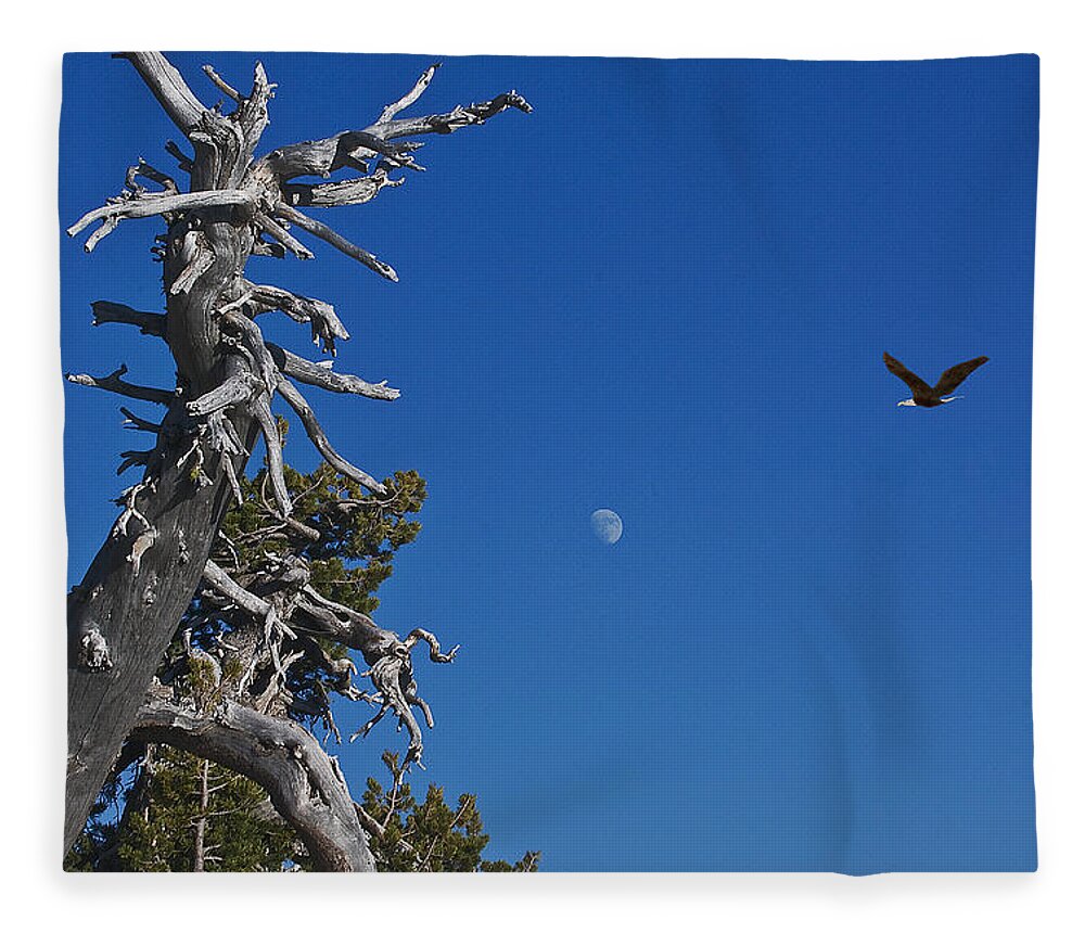 Raptor Fleece Blanket featuring the digital art Southern Oregon Skies by John Christopher