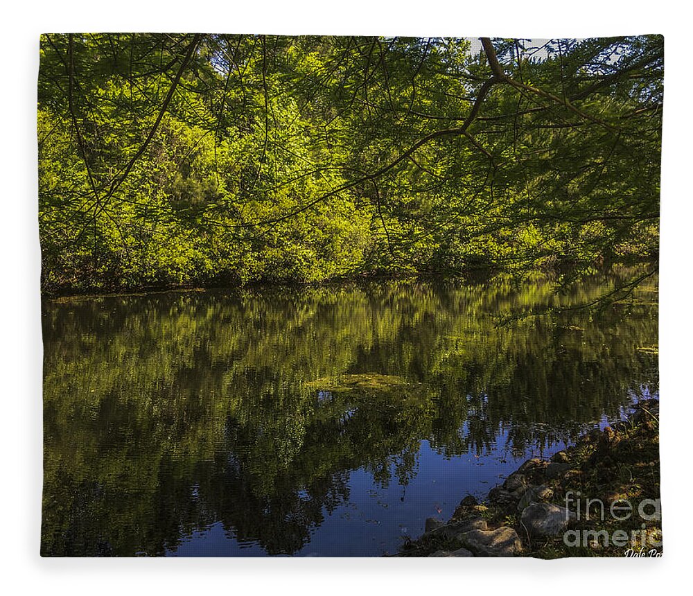 Pond Fleece Blanket featuring the photograph Southern Still Waters by Dale Powell