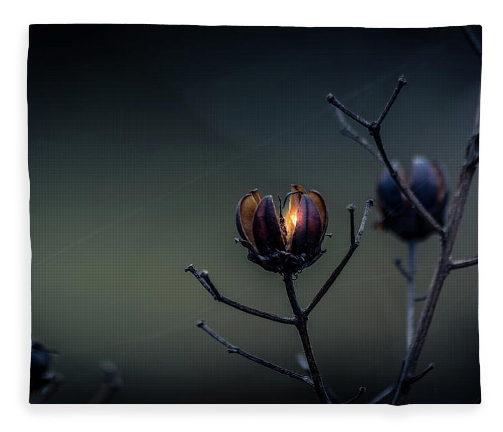 Hope Fleece Blanket featuring the photograph Spark of Hope by Allin Sorenson