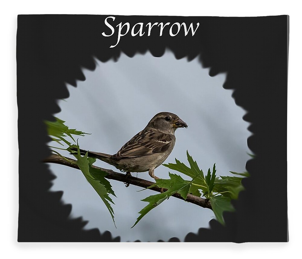 Sparrow Fleece Blanket featuring the photograph Sparrow  by Holden The Moment