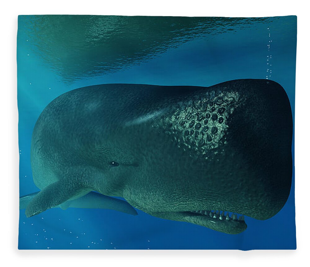 Sperm Whale Fleece Blanket featuring the digital art Sperm Whale by Daniel Eskridge