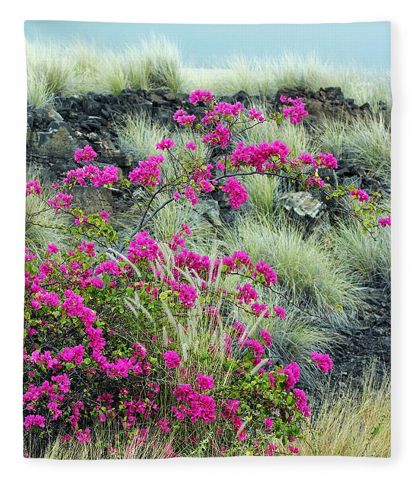  Splashes Of Pink Fleece Blanket featuring the photograph Splashes of Pink by Jennifer Robin