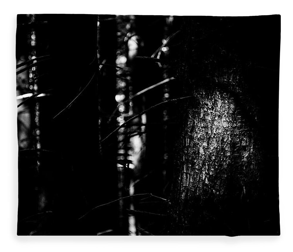 Wilderness Fleece Blanket featuring the photograph Spotlight in the Woods Black and White by Pelo Blanco Photo