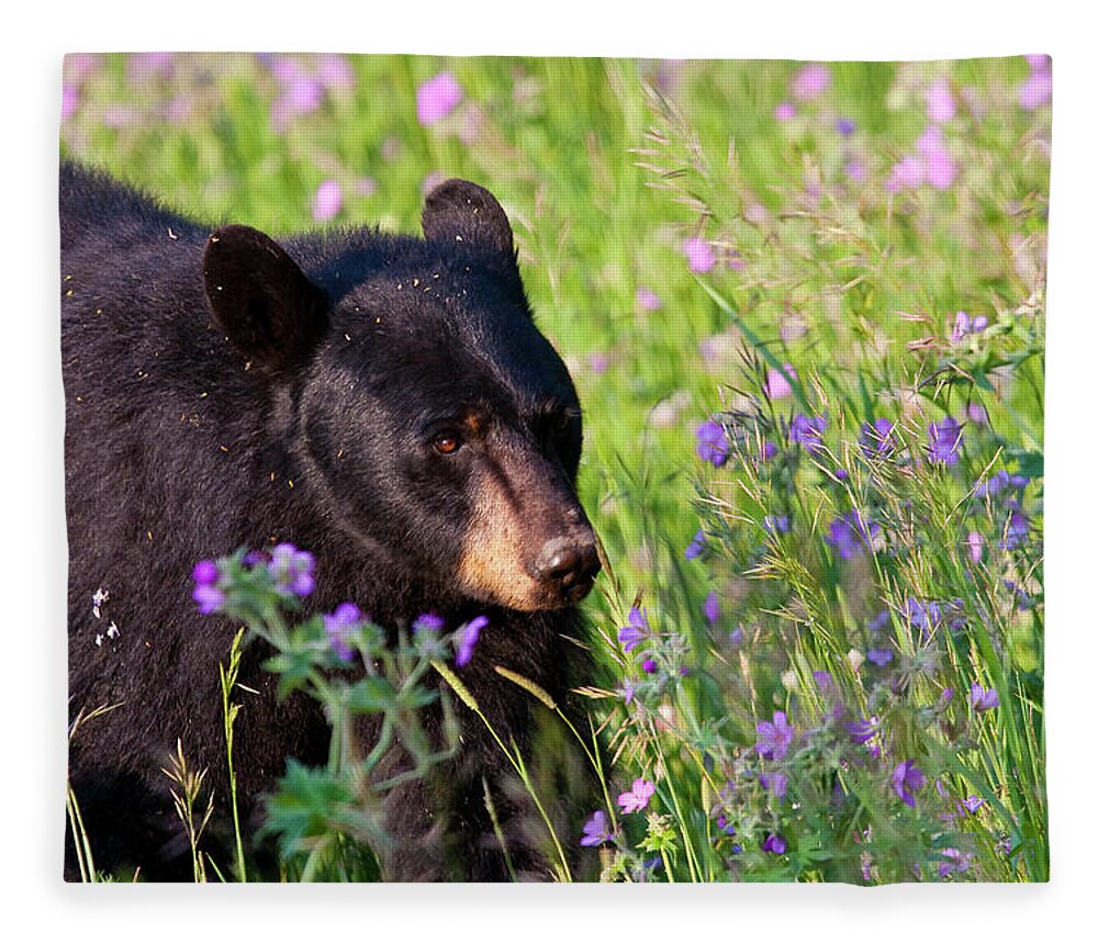 Black Bear Fleece Blanket featuring the photograph Spring Black Bear by Mark Miller