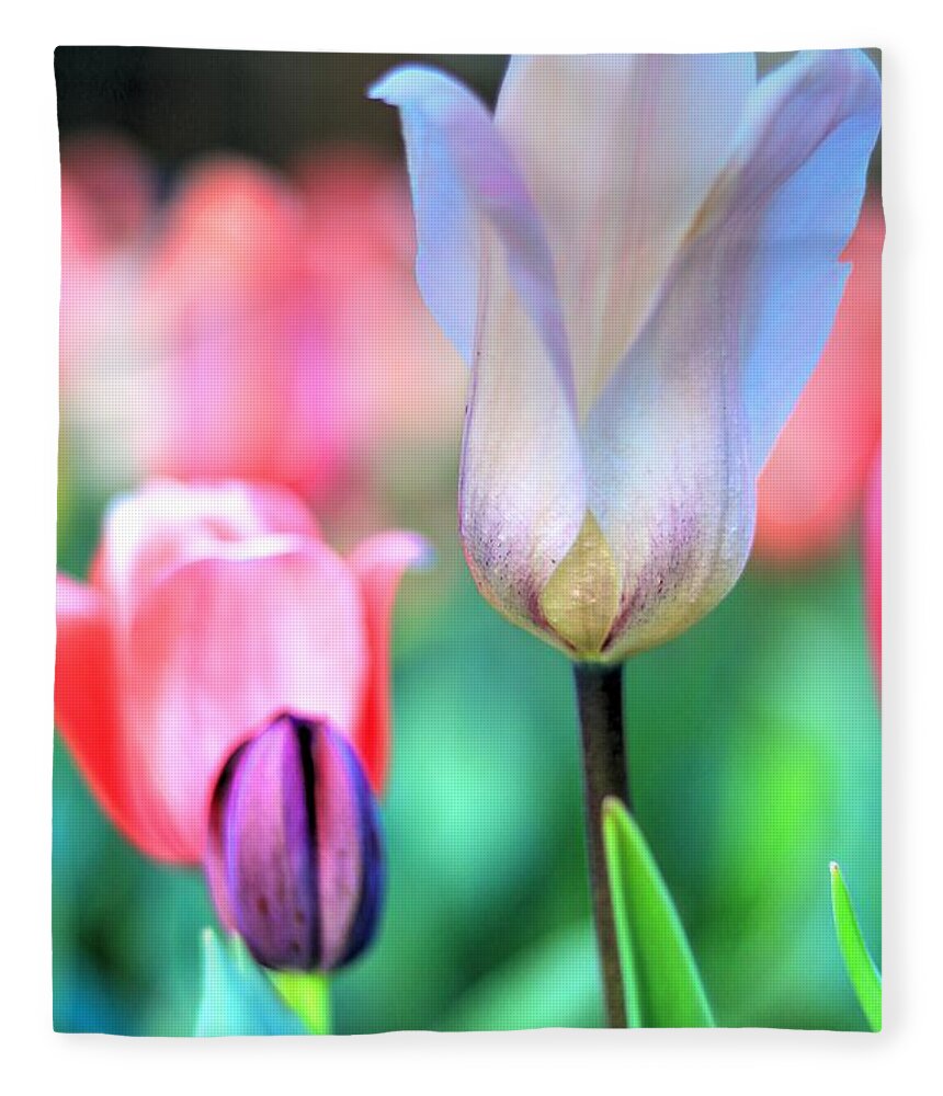 Tulips Fleece Blanket featuring the photograph Spring Blooms II by Carol Montoya