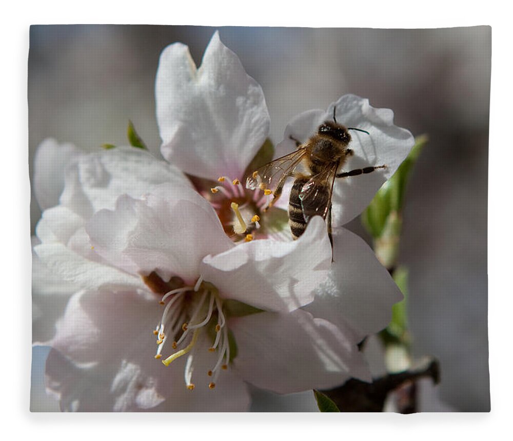 Bee Fleece Blanket featuring the photograph Spring Buzz by Denise Dethlefsen