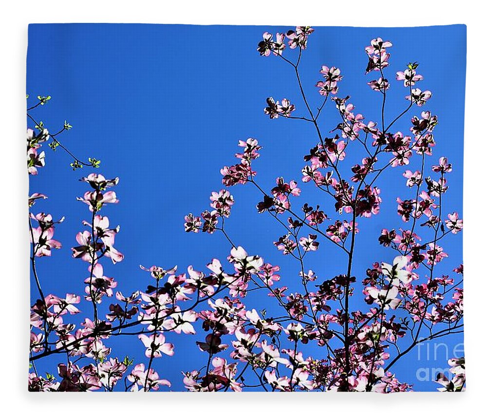 Springtime Fleece Blanket featuring the photograph Spring in Louisville by Merle Grenz