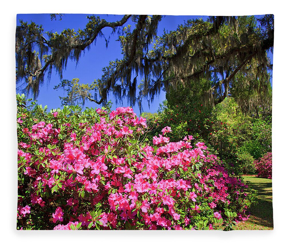 Pink Fleece Blanket featuring the photograph Spring in the South by Jill Lang