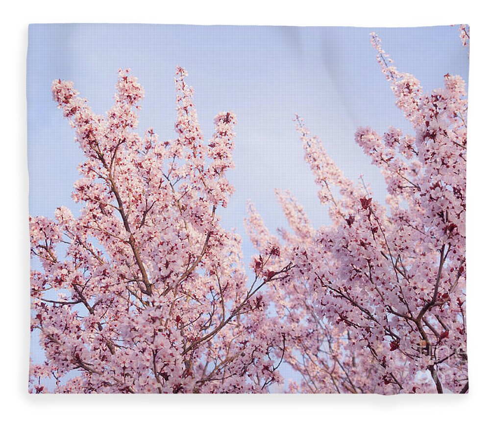 Spring Fleece Blanket featuring the photograph Spring is in The Air by Ana V Ramirez