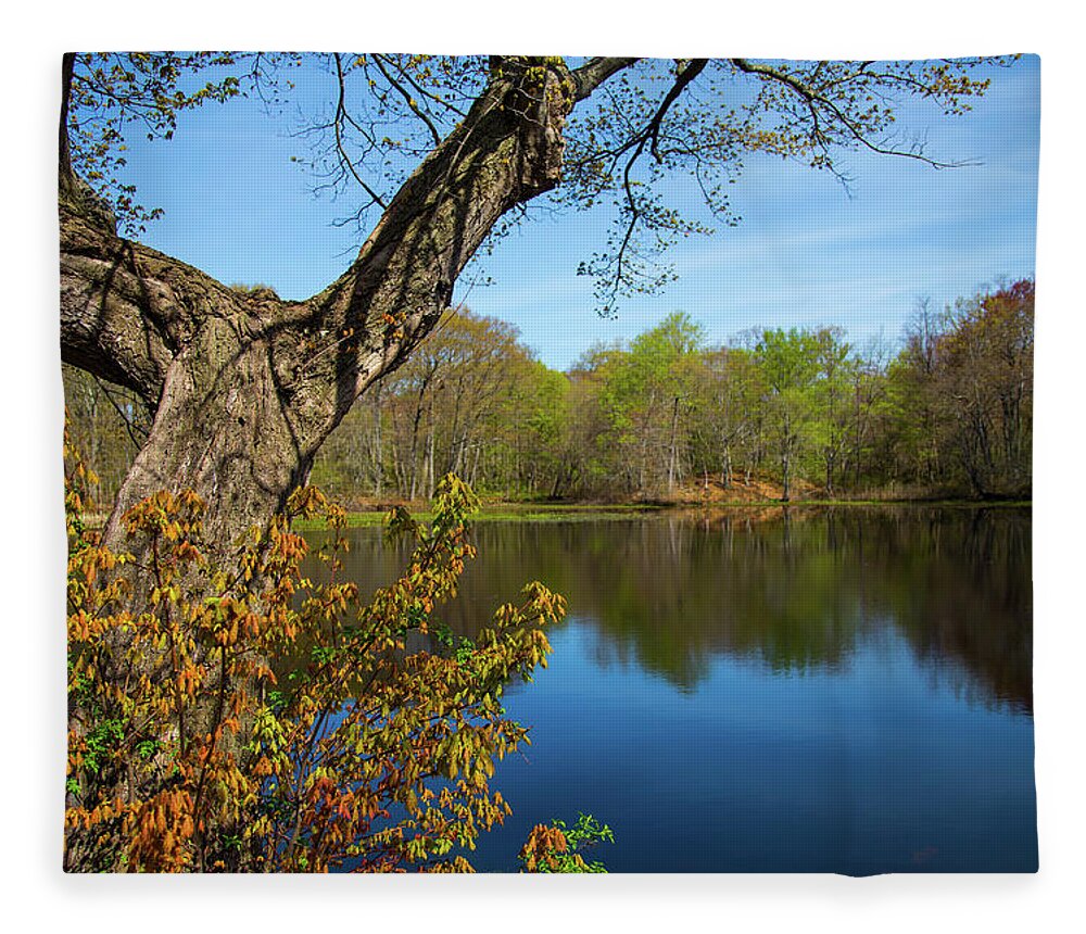 Spring At The Pond Fleece Blanket featuring the photograph Spring Pond by Karol Livote