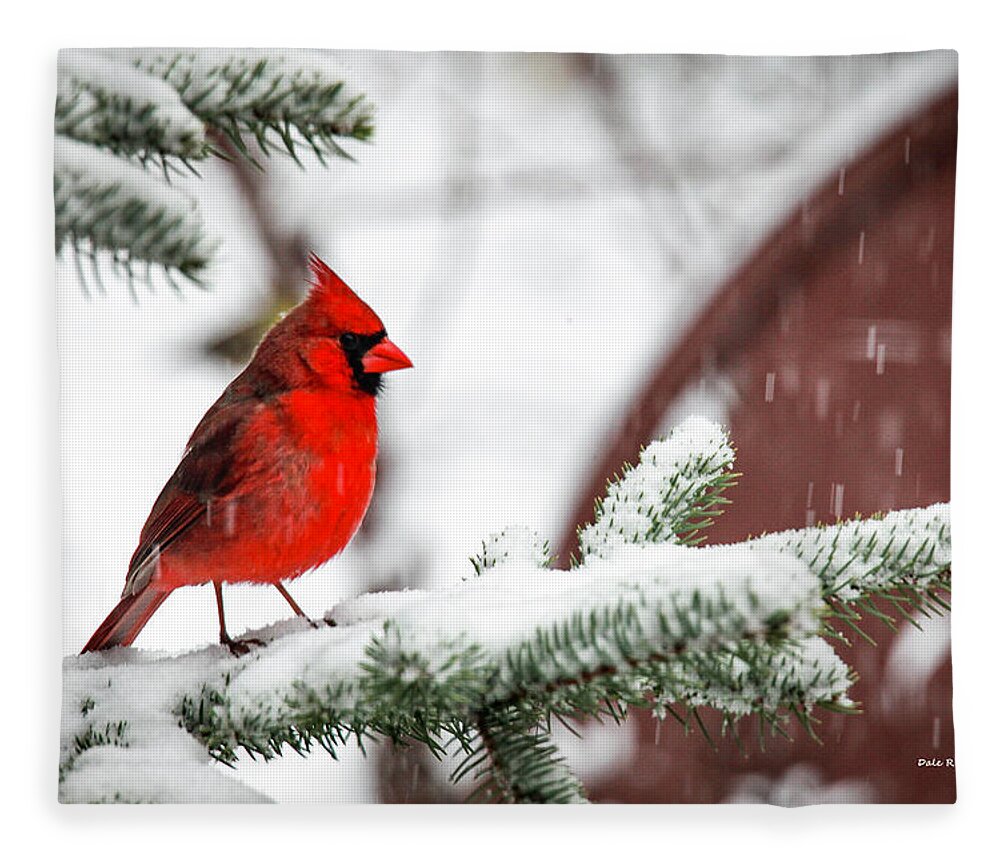Cardinal Fleece Blanket featuring the photograph Snowbird by Dale R Carlson