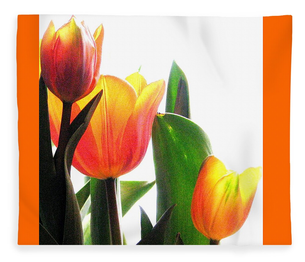 Orange Tulips Fleece Blanket featuring the photograph Spring Shine by Angela Davies
