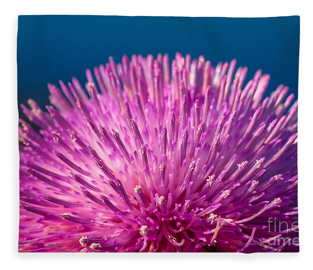 Spring Fleece Blanket featuring the photograph Spring Thistle in Bloom by Tom Claud