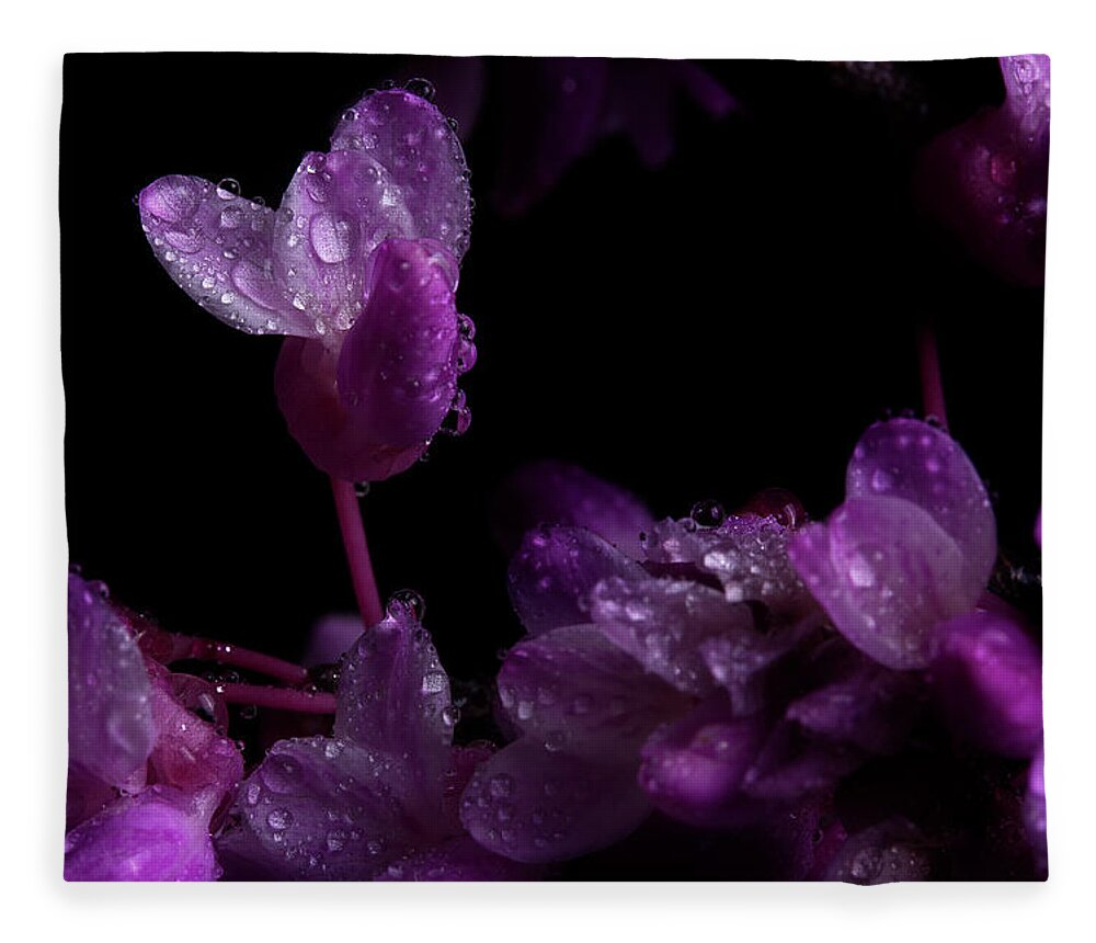 Redbud Fleece Blanket featuring the photograph Spring Time Redbud 5 by Mike Eingle