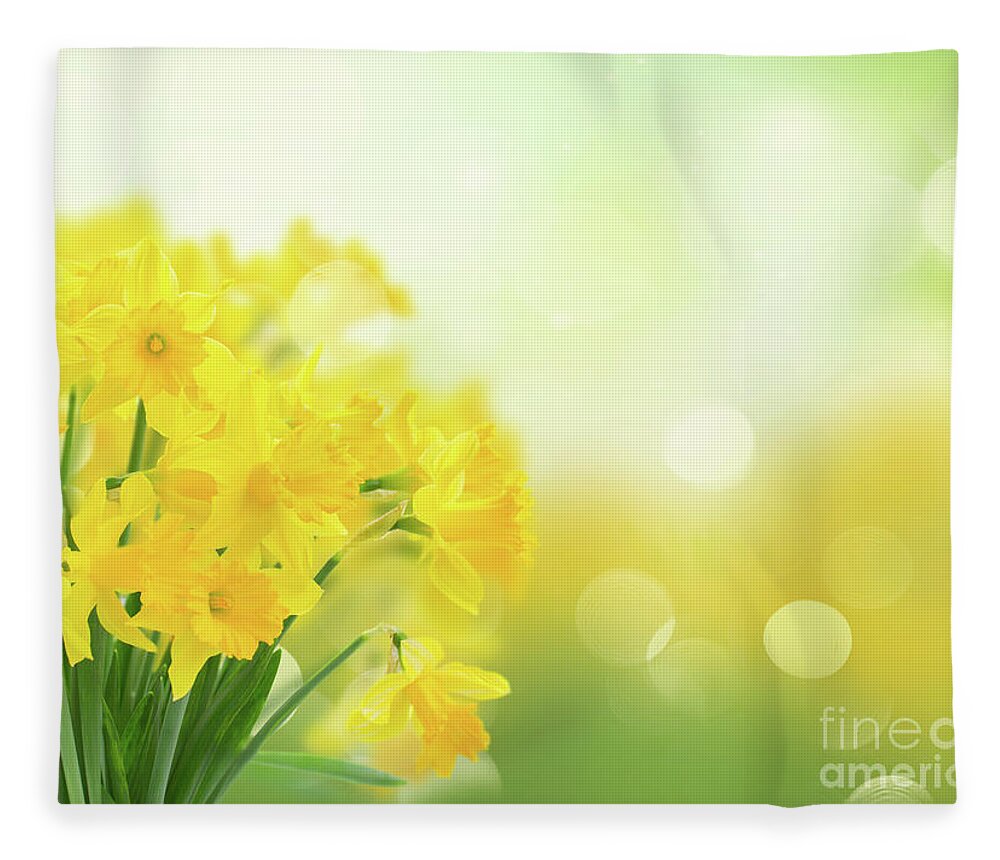 Easter Fleece Blanket featuring the photograph Spring Narcissus #1 by Anastasy Yarmolovich