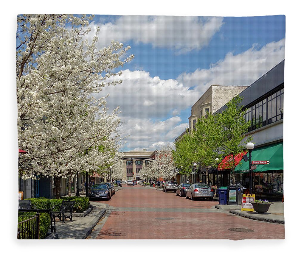 Marion Street Fleece Blanket featuring the photograph Springtime on Marion Street. by Todd Bannor