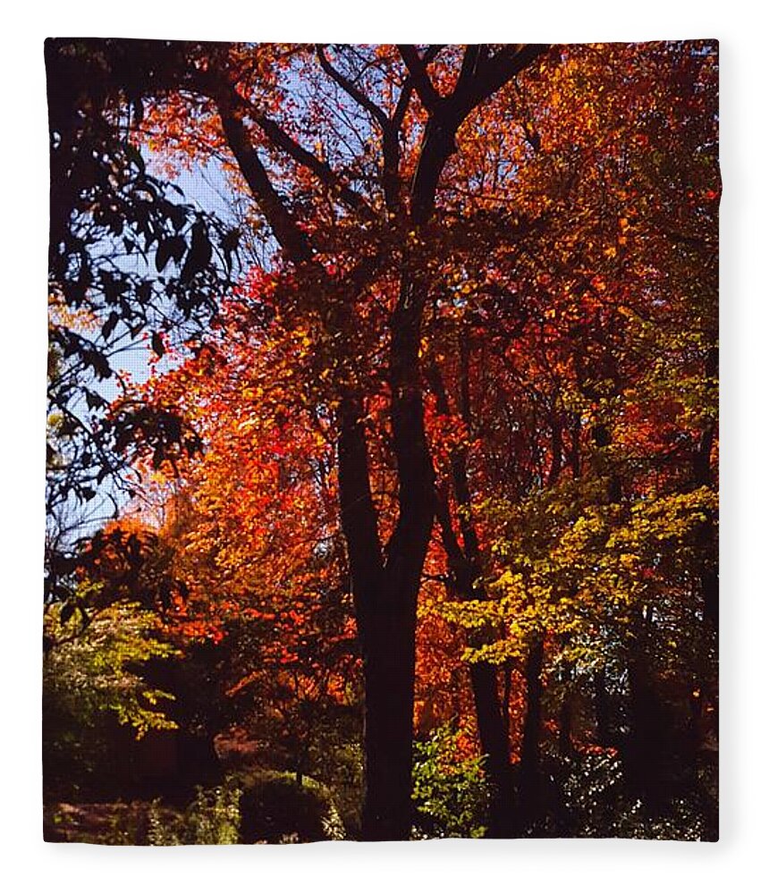 Autumn Fleece Blanket featuring the photograph Squiggle by Dani McEvoy
