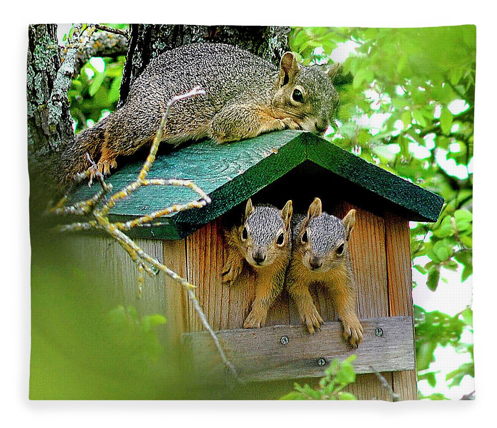 Squirrel Fleece Blanket featuring the photograph Squirrel Family Portrait by Ted Keller