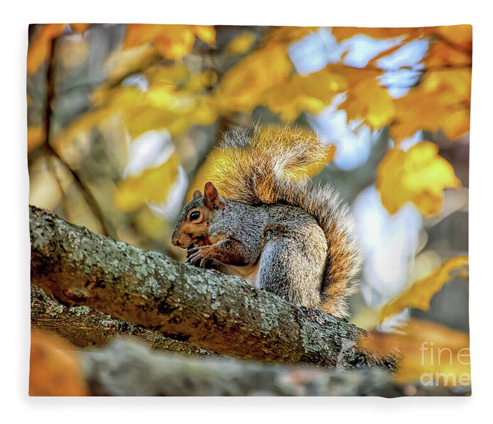 Squirrel Fleece Blanket featuring the photograph Squirrel in Autumn by Kerri Farley of New River Nature