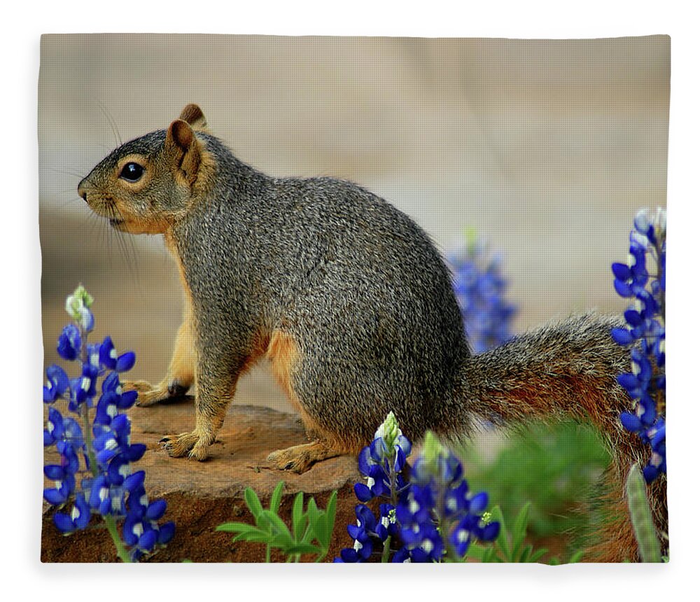Squirrel Fleece Blanket featuring the photograph Squirrel in Texas Bluebonnets by Ted Keller