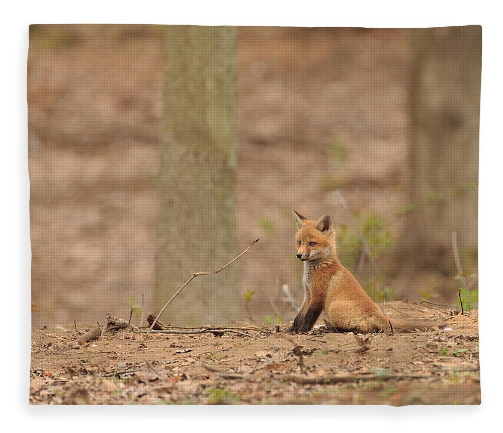 Fox Fleece Blanket featuring the photograph Squirrel Watch by Everet Regal