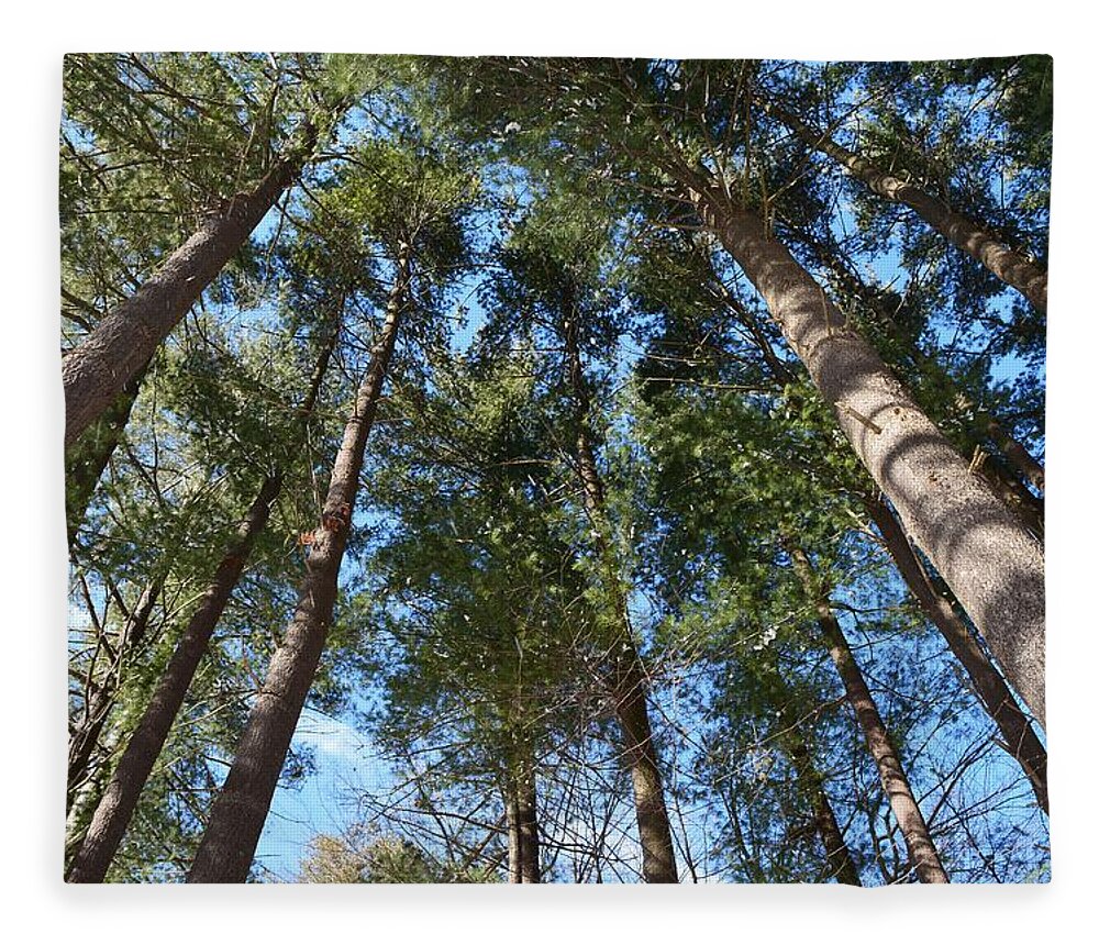 Trees Fleece Blanket featuring the photograph Squirrels Highway by Dani McEvoy