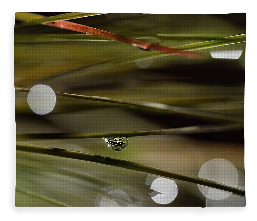 Water Drop Fleece Blanket featuring the photograph Stability Among Chaos by Mike Eingle