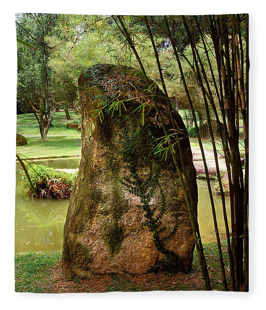 Standing Stone Fleece Blanket featuring the photograph Standing Stone with Fern and Bamboo 19A by Gerry Gantt
