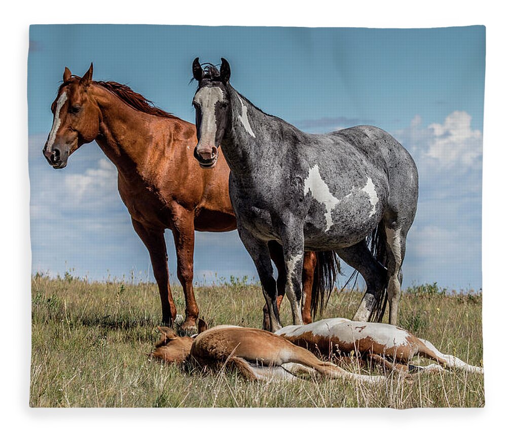 Wild Fleece Blanket featuring the photograph Standing Watch Over the Foals by Teresa Wilson