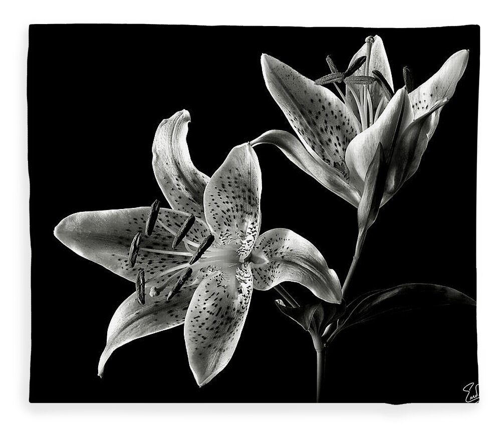 Flower Fleece Blanket featuring the photograph Stargazer Lily in Black and White by Endre Balogh