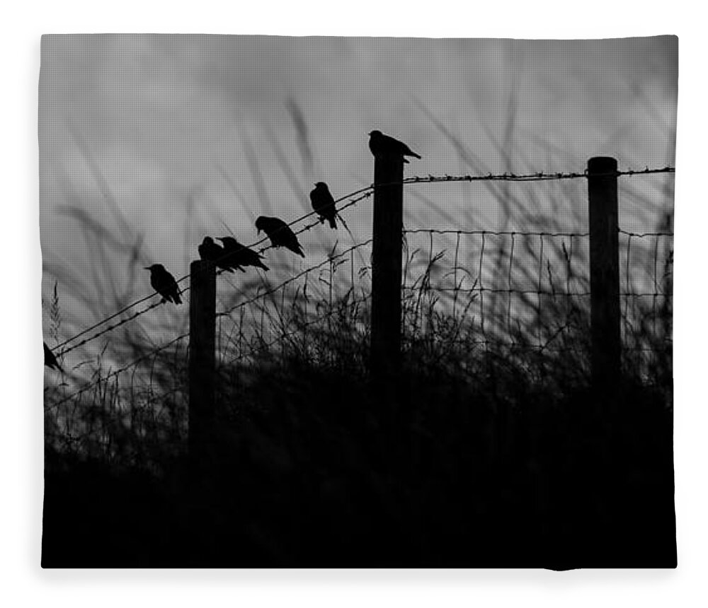Starling Fleece Blanket featuring the photograph Starlings by Nigel R Bell
