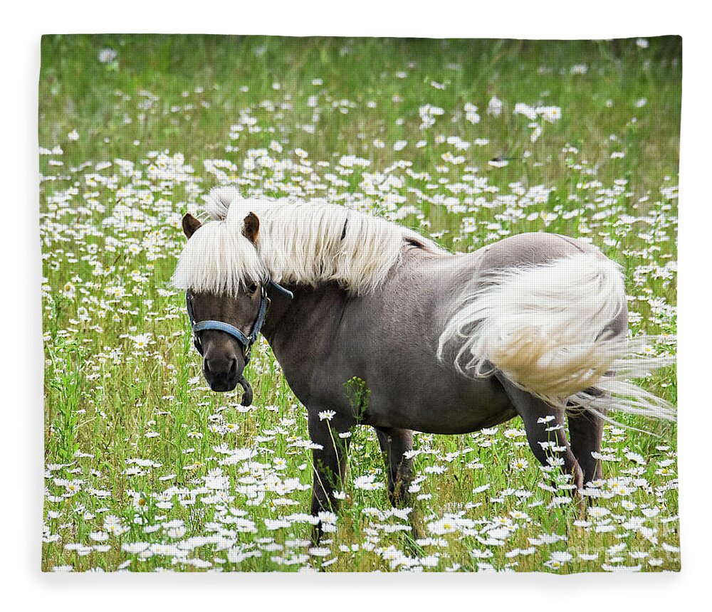 Horse Fleece Blanket featuring the photograph Starstruck by Amy Porter