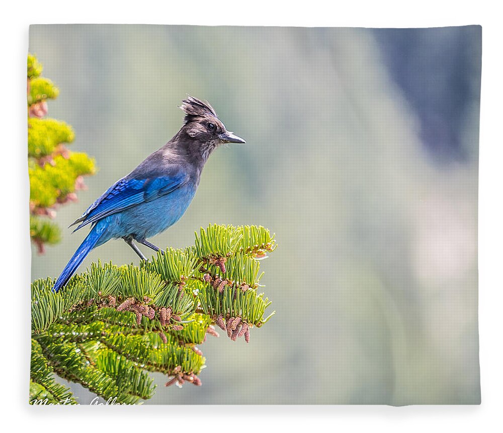 Stellars Jay Tahoe Bird Blue Fleece Blanket featuring the photograph Stellers Jay by Martin Gollery