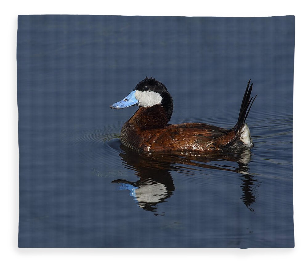 Ruddy Duck Fleece Blanket featuring the photograph Stiff Tail by Tony Beck