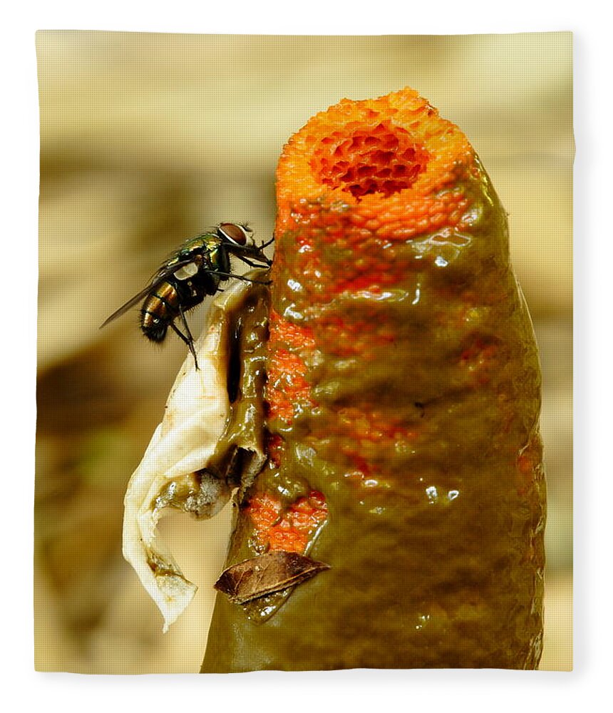 Mutinus Elegans Fleece Blanket featuring the photograph Tip Of Stinkhorn Mushroom With Fly by Daniel Reed
