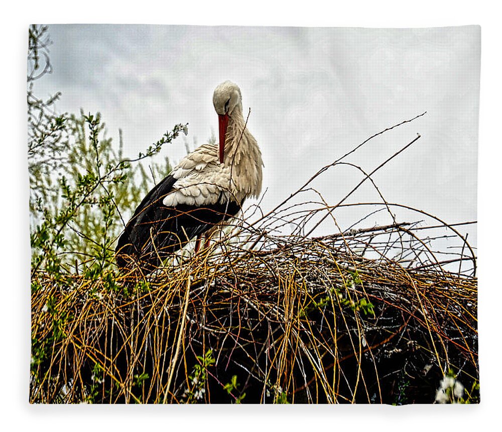 Europe Fleece Blanket featuring the photograph Stork Nest by Richard Gehlbach