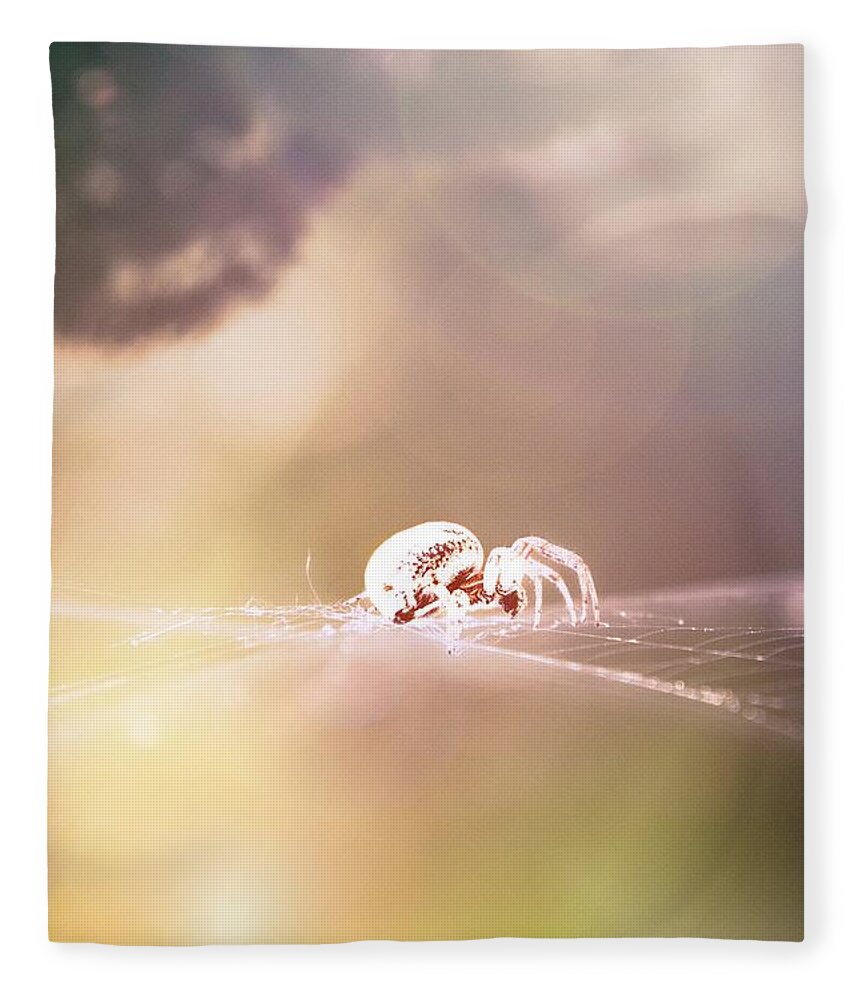 Spider Fleece Blanket featuring the photograph Story Of A Spider by Jaroslav Buna